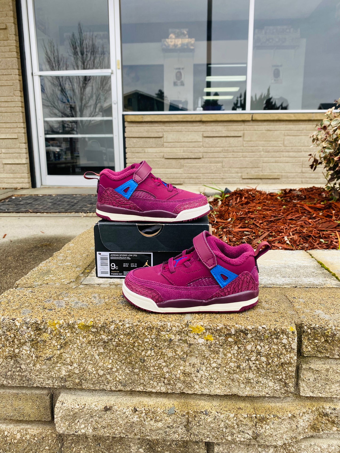 Jordan Spizike Low