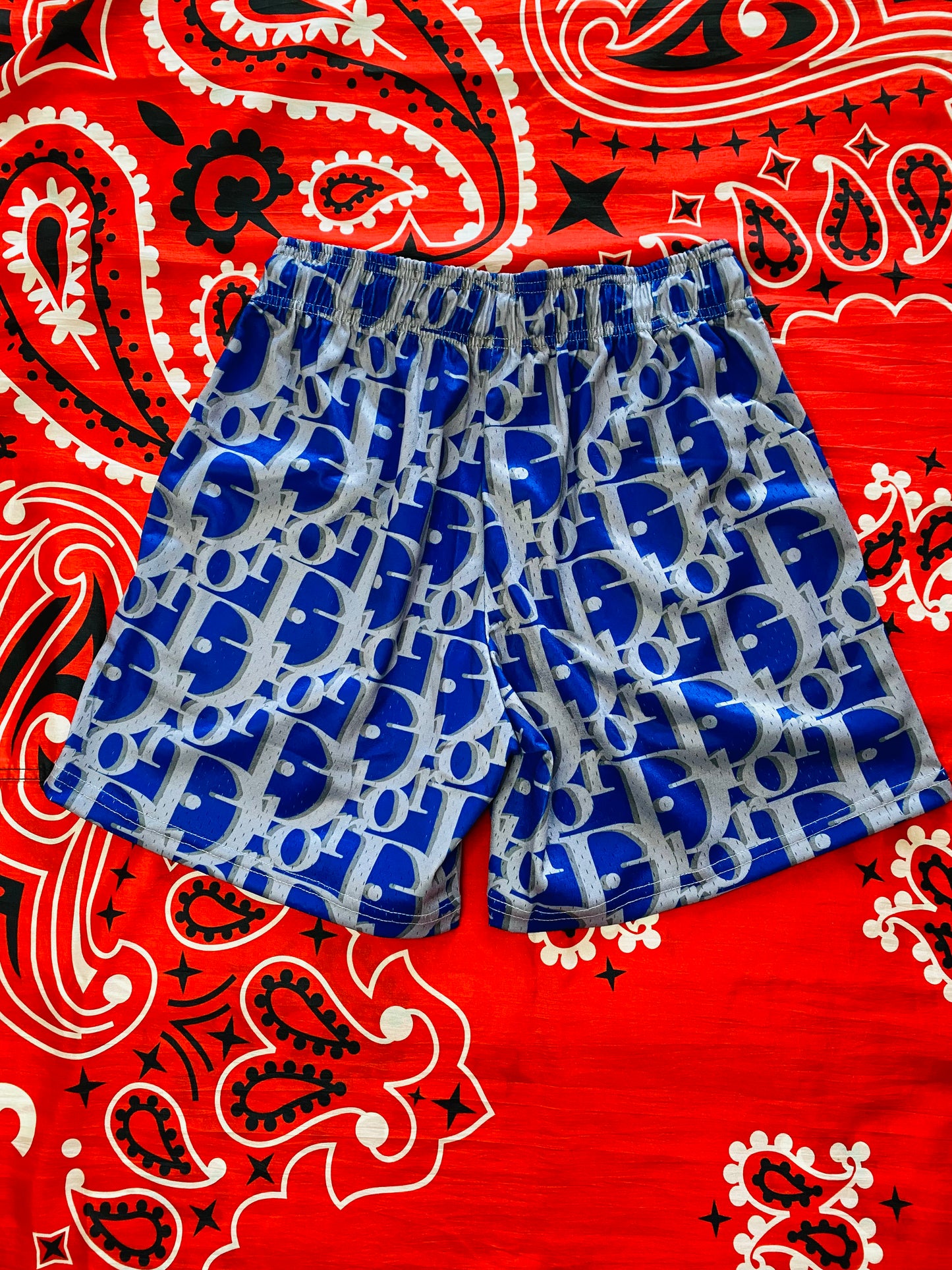 Mr. Remade Dior Shorts