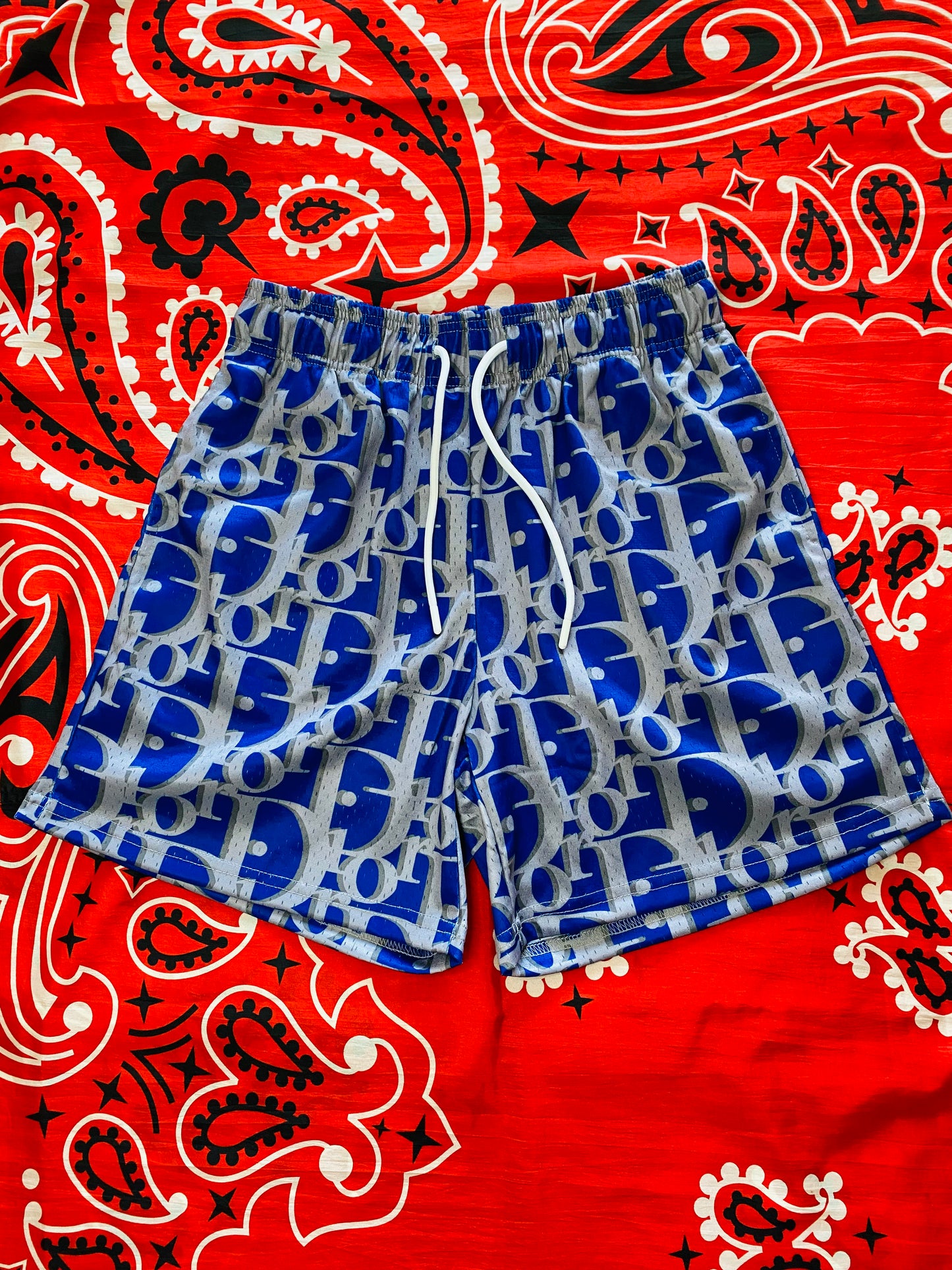 Mr. Remade Dior Shorts