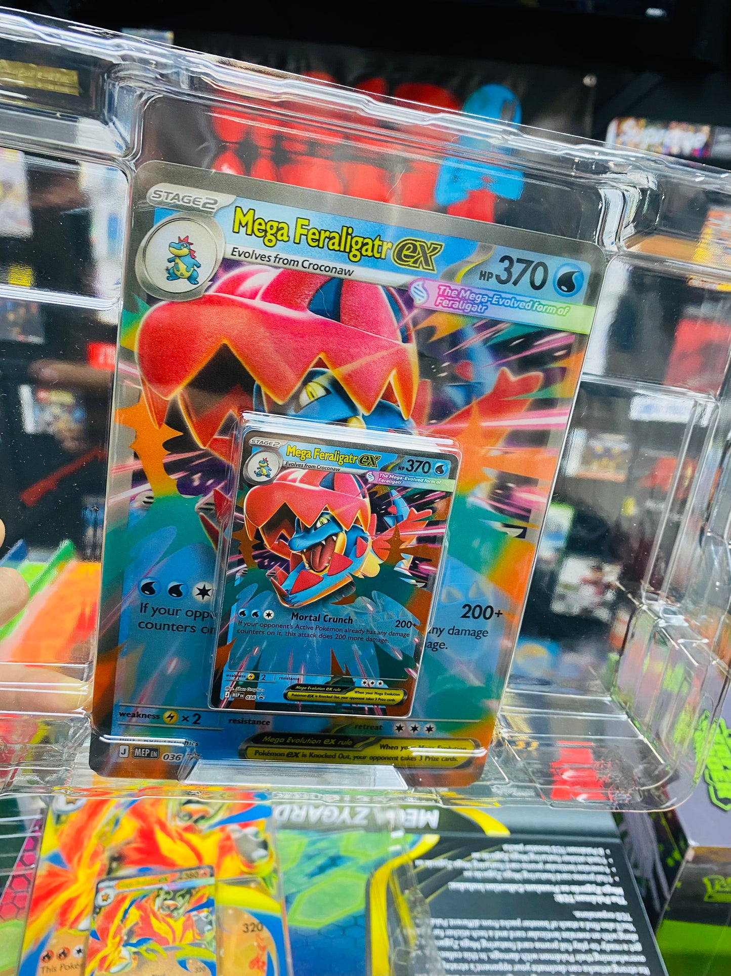Mega Feraligatr Ex Jumbo Card Set