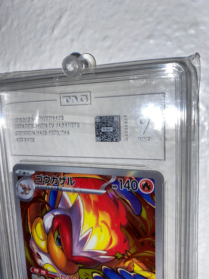 Infernape Mint 9