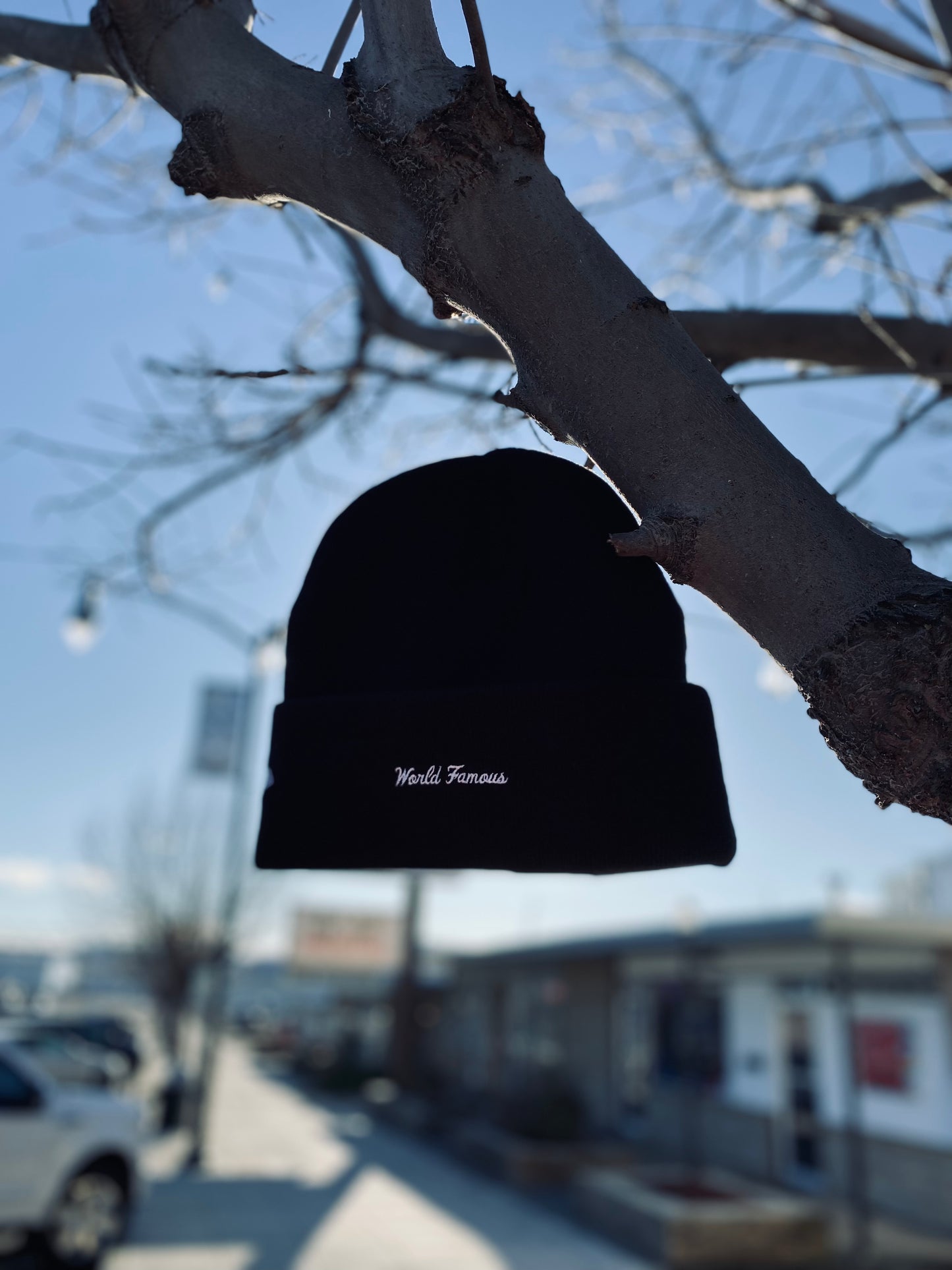 Supreme New Era Box Logo Beanie