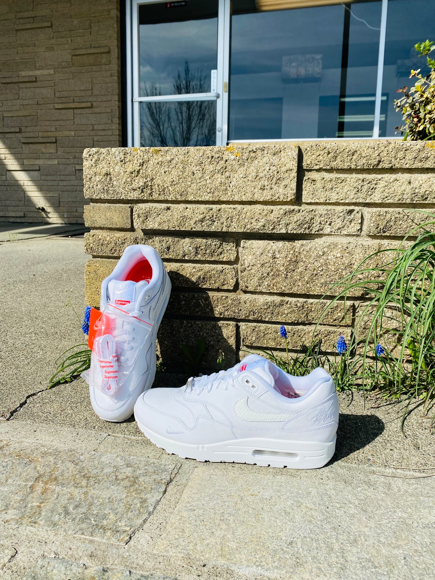 Supreme x Nike Air Max